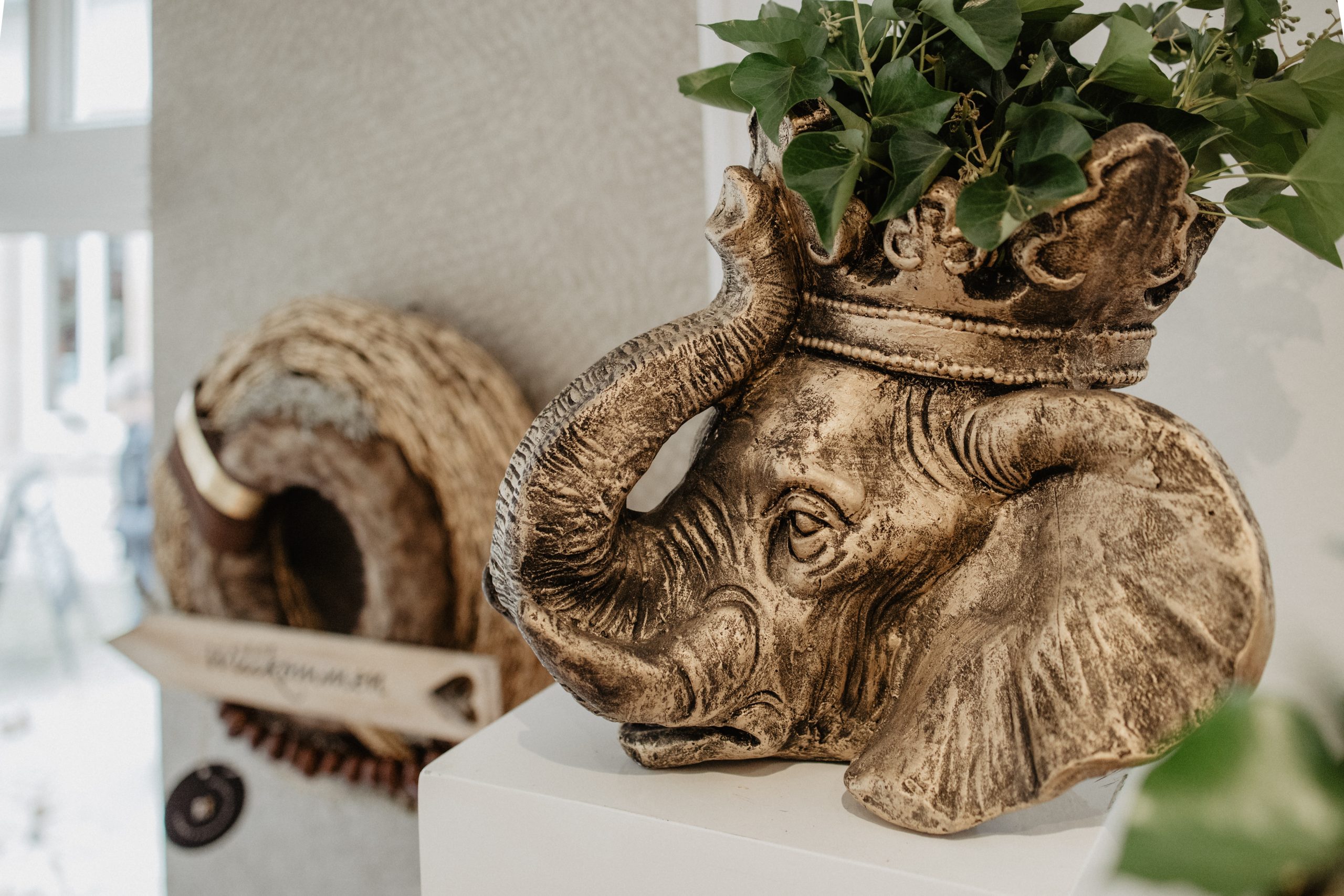 Eindruck aus dem Blumensalon in Ibbenbüren