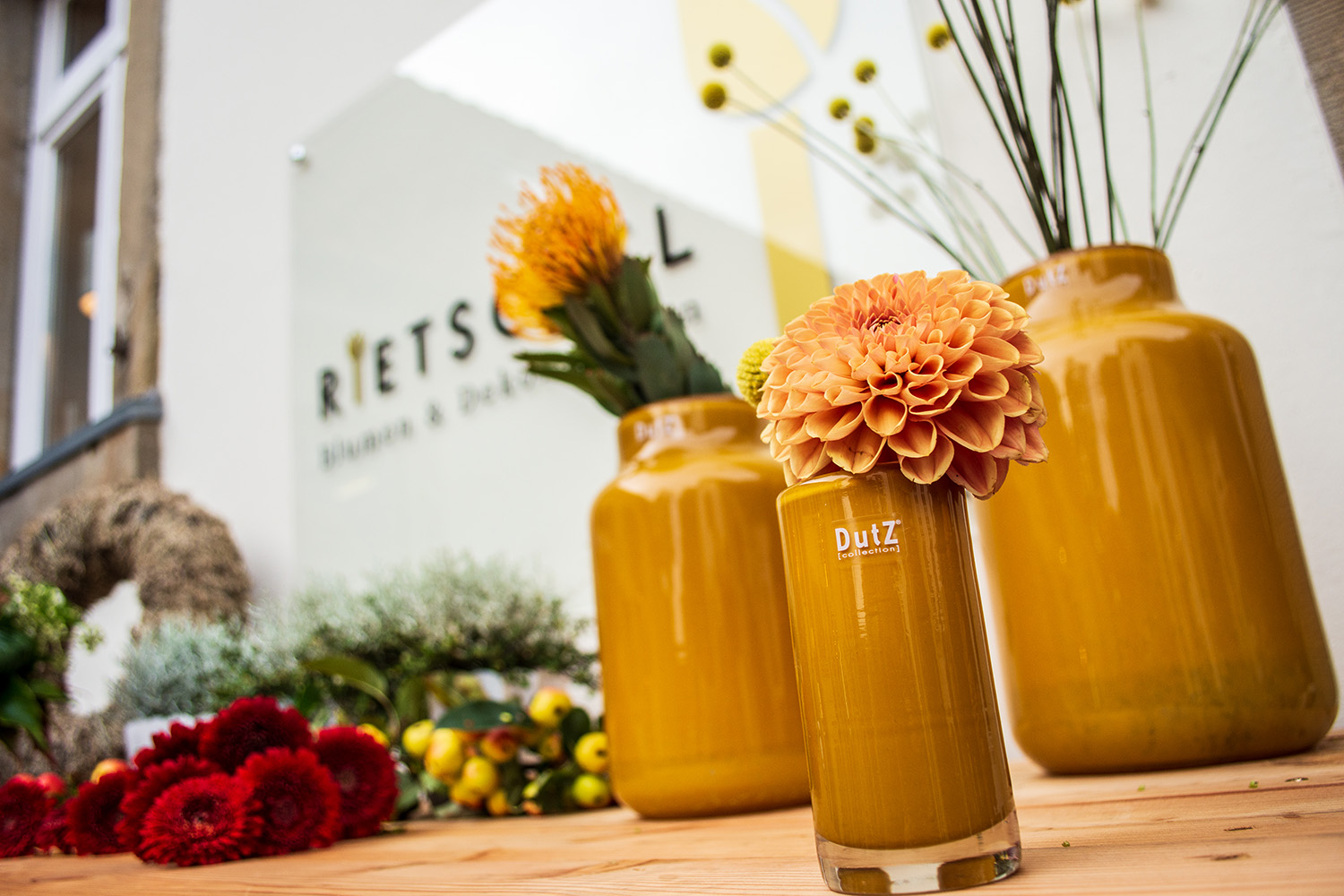 Eindruck aus dem Blumensalon in Ibbenbüren